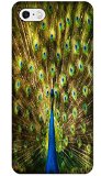 Apple Accessories Beautiful Peacock Cell Phone Cases Design Special For iPhone 5/5S No.8