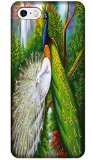 Beautiful Peacock Cell Phone Cases Design Special For iPhone 5/5S No.9