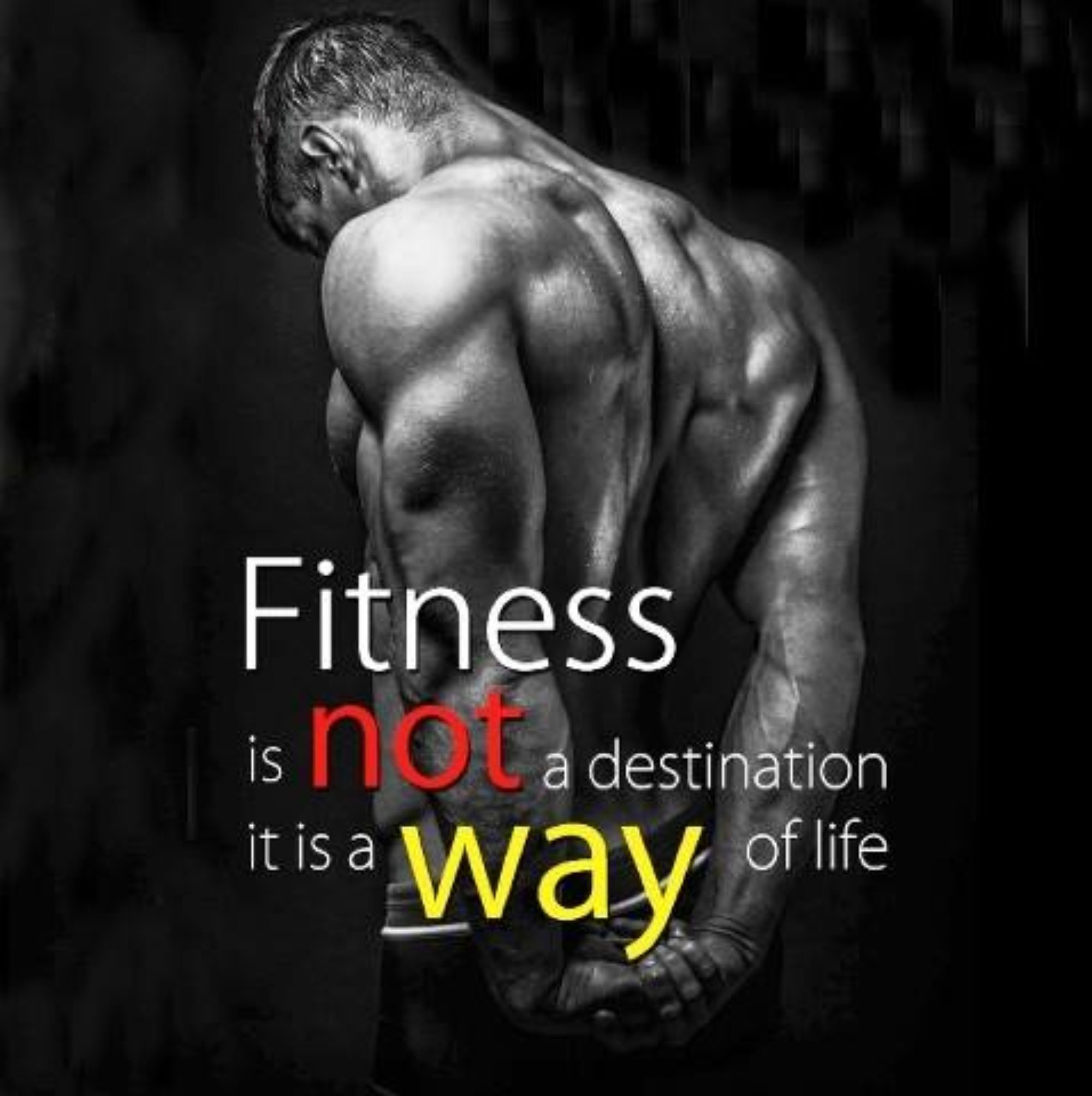 Personal Fitness Trainer Directory Home Personal