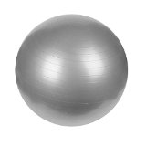 Sunny Health & Fitness Anti-Burst Gym Ball, 65 CM