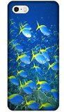 Top Quality Phone Accessories Under Sea World Beautiful Colorful Fishs Clean Water Special Design Cell Phone Cases Covers For iPhone 4/4S No.5