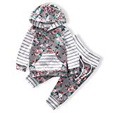 Baby Girls Long Sleeve Flowers Hoodie Print Hoodies with Pocket Tops + Striped Pants Outfit Clothing Sets(18-24M)
