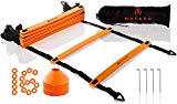 Premium Agility Ladder and Cones - 16 Field Cones - 12 Rung Speed Ladder - 19ft Length - Speed Training Equipment for Football, Soccer & Other Sports - Set of 4 Metal Pegs & Carrying Bag