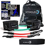 Kinetic Bands Leg Resistance Speed Bands for Athletic Performance and Fitness Training - Digital Training Videos and Workout Guides (INT Red-Green: User Weight Over 110)